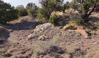 Pinon Valley Ranch lot 9, Concho, AZ 85924