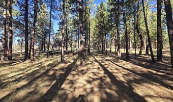 12174 Night Owl Dr, Bonanza, OR 97623