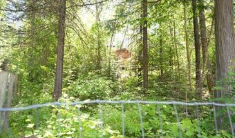 13376 Bug Creek Rd, Bigfork, MT 59911