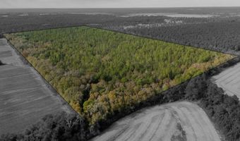 N Bob Brooks Road, Baker, FL 32531