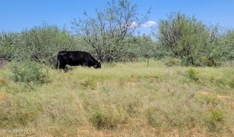 120 AC Off Stronghold & Ironwood Rd, Cochise, AZ 85606