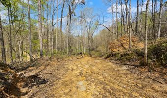 Martha Stockton Road, Albany, KY 42602