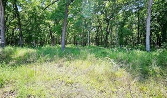Lot 221 Banjo Court, Alvord, TX 76225