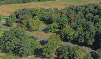 224 County Road 1003, Bardwell, KY 42023