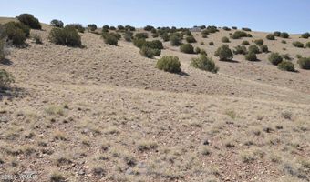 14 CR 5525, Concho, AZ 85924