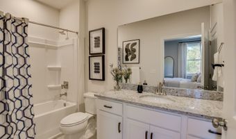 711 Oak Valley Dr Plan: The Norwood, Blythewood, SC 29016