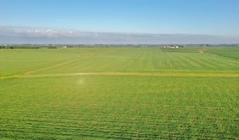 TBD Hwy 14, Allison, IA 50602