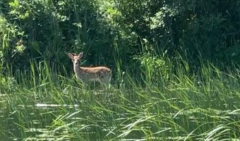 Opah's Drive lot 11, Aitkin, MN 56431