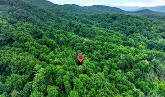 12 Beech Tree Ln, Asheville, NC 28804