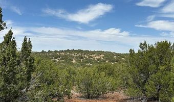 50 County Road 3048, Concho, AZ 85924