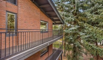 731 S Mill St 3A, Aspen, CO 81611