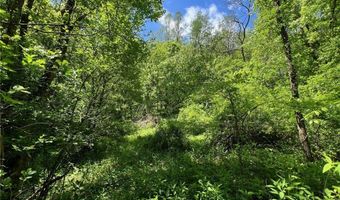 0 Crooked Creek Rd, Alum Creek, WV 25309