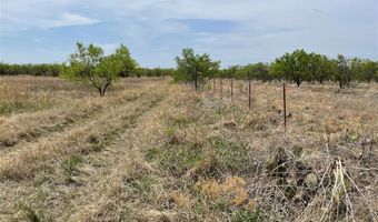 Tbd Hwy 6, Albany, TX 76424