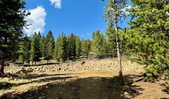 NHN Perkins Gulch Road, Anaconda, MT 59711