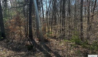 TBD Bassett Heights Ext, Bassett, VA 24055