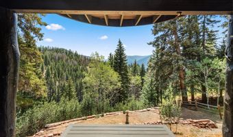1340 Mclaughlin Ln, Basalt, CO 81621
