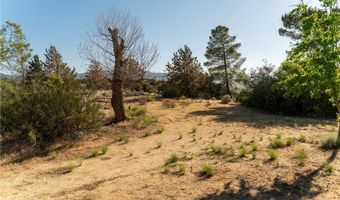 61826 Spanish Dagger Ln, Anza, CA 92539