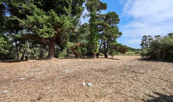 SW Edison Ave, Bandon, OR 97411