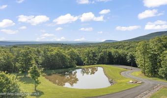 208 Old S Durham Hwy, Acra, NY 12405
