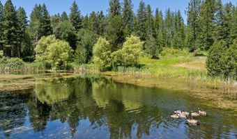 784 Twin Rivers Rd, Athol, ID 83801