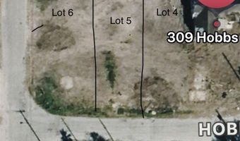hobbs lot 4, Alice, TX 78332