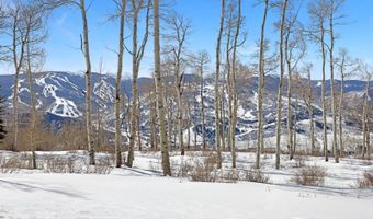 114 Goldenrod, Avon, CO 81620