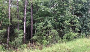 Wilson Road, Elberta, AL 36530