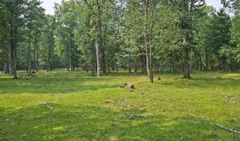Tbd State 87 SW, Backus, MN 56435