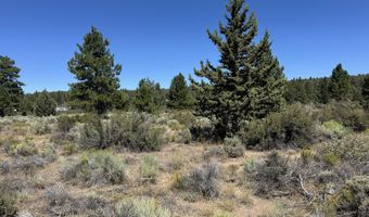 Bufflehead Drive 18, Bonanza, OR 97623