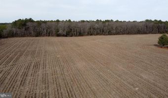 21063 WILSON Rd, Georgetown, DE 19947