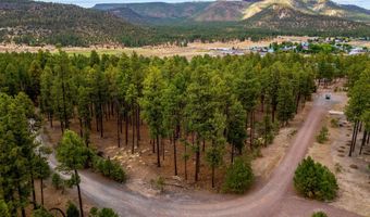 Tbd CR2325, Alpine, AZ 85920