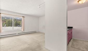 110 S Park Ave 106, Breckenridge, CO 80424