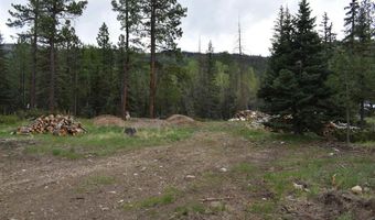 264 Ponderosa Homes Rd, Bayfield, CO 81137
