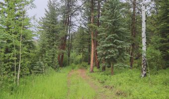 TBD Old Flowers Road, Bellvue, CO 80512