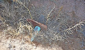 N Mesa Road, Belen, NM 87002