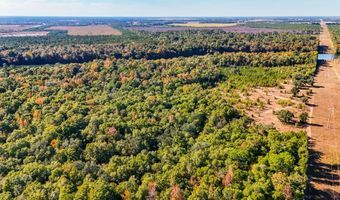 Tract 1 Rivervale Drive, Bainbridge, GA 39817