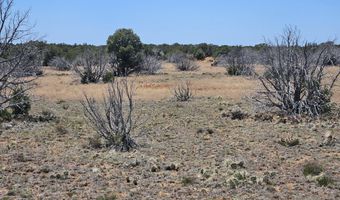 ACR N8388 and N8385, Concho, AZ 85924