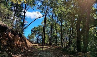 0 Mount Horeb Rd, Amherst, VA 24521