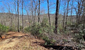 90 Kimiko Ln S 30&31, Balsam Grove, NC 28708