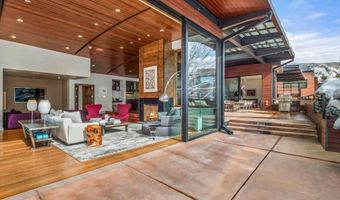 233 E Cooper Ave 301, Aspen, CO 81611