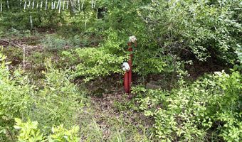 171 Vegas Ln, Beebe, AR 72012