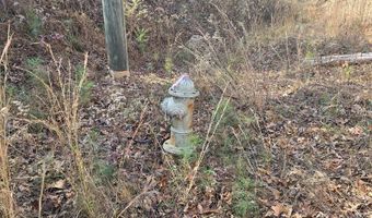 00001 Hwy 369, Ball Ground, GA 30107