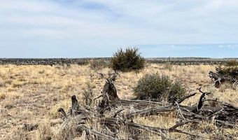 572 Windmill Rd, Carrizozo, NM 88301