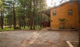 10 Woodlands Dr W, Angel Fire, NM 87710