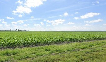 Thompson lot 32-43, Agua Dulce, TX 78593