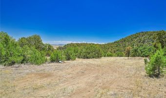 Rikki Rowdy Place, Aguilar, CO 81020