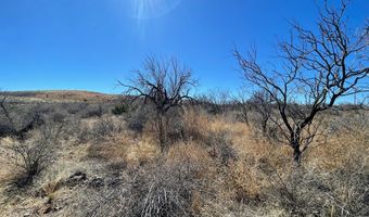 Tract114 Hwy 90, Alpine, TX 79830