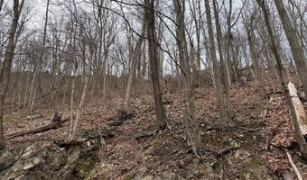 TRACT 1 142.55+/- ACRES WILLIAM PENN HIGHWAY, Alexandria, PA 16611