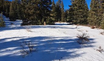 3553 RIVER Dr, Alma, CO 80420