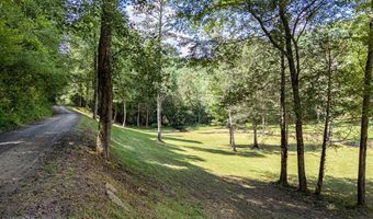 Chestnut Flats Road, Andrews, NC 28901